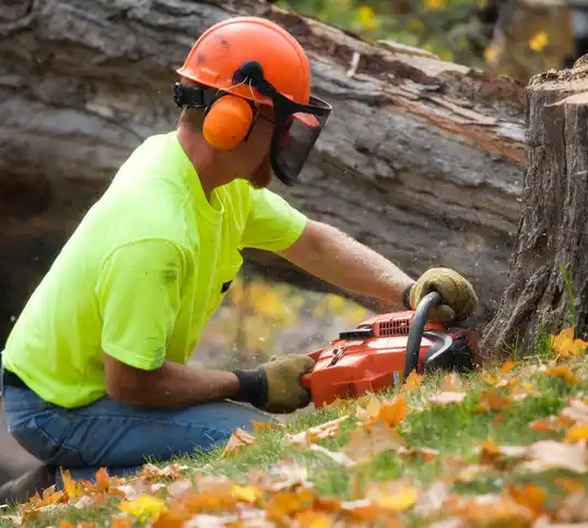 tree services Worden